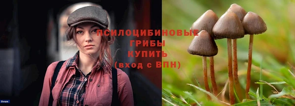 ешки Навашино
