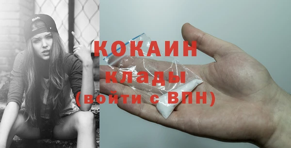 стаф Покачи
